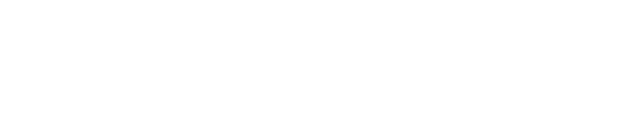 Sentry Management logo