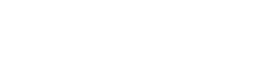 Shelter Wealth Strategies logo