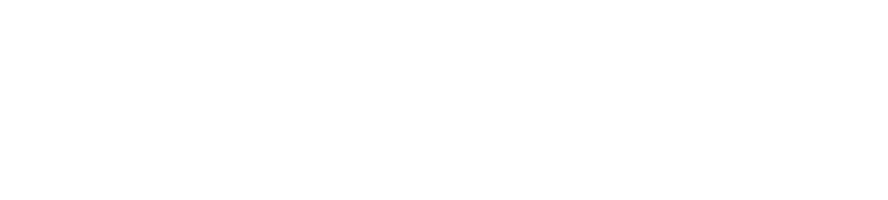 White Lighthouse Investment Management S.a.r.l. logo