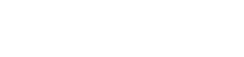 Singer Wealth Advisors logo