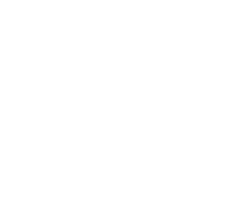 Brazos Wealth Advisors logo