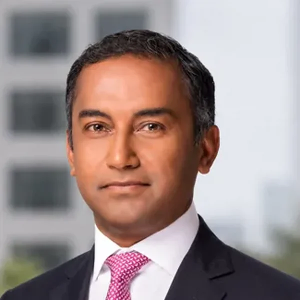 Debashis Chowdhury, portrait